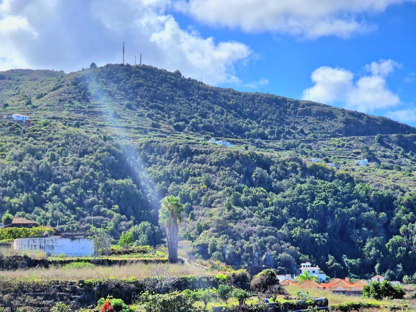 Cozy House Casa De Los Abuelos In Icod De Los Vinos By Hrtenerife Net Εξωτερικό φωτογραφία
