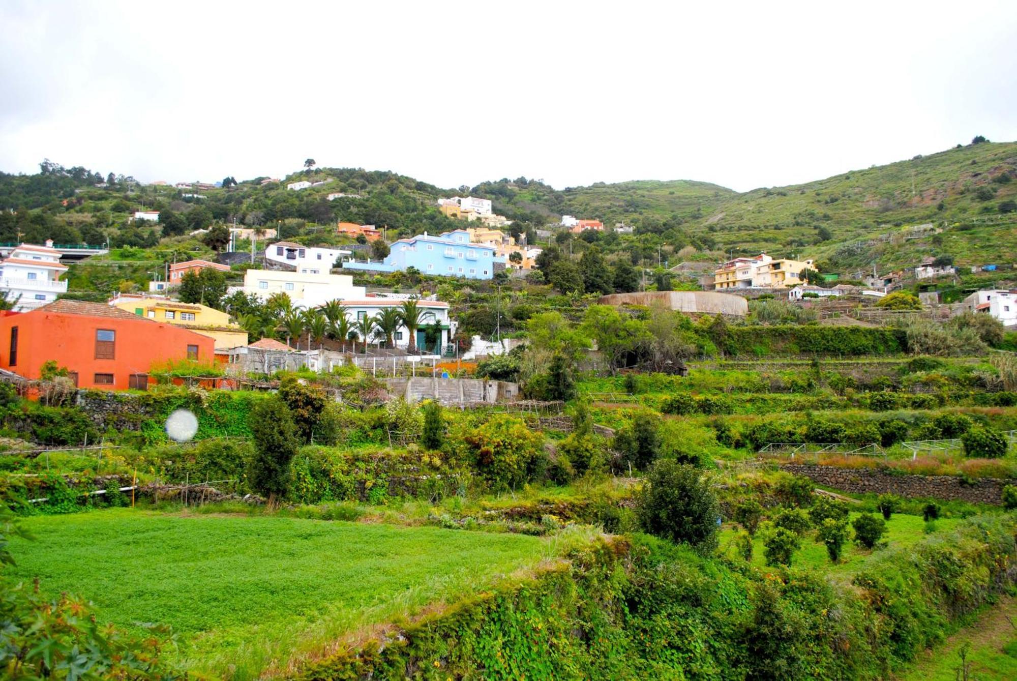 Cozy House Casa De Los Abuelos In Icod De Los Vinos By Hrtenerife Net Εξωτερικό φωτογραφία