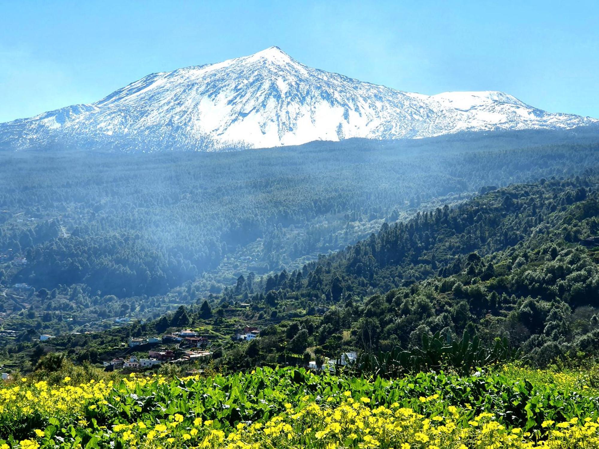 Cozy House Casa De Los Abuelos In Icod De Los Vinos By Hrtenerife Net Εξωτερικό φωτογραφία