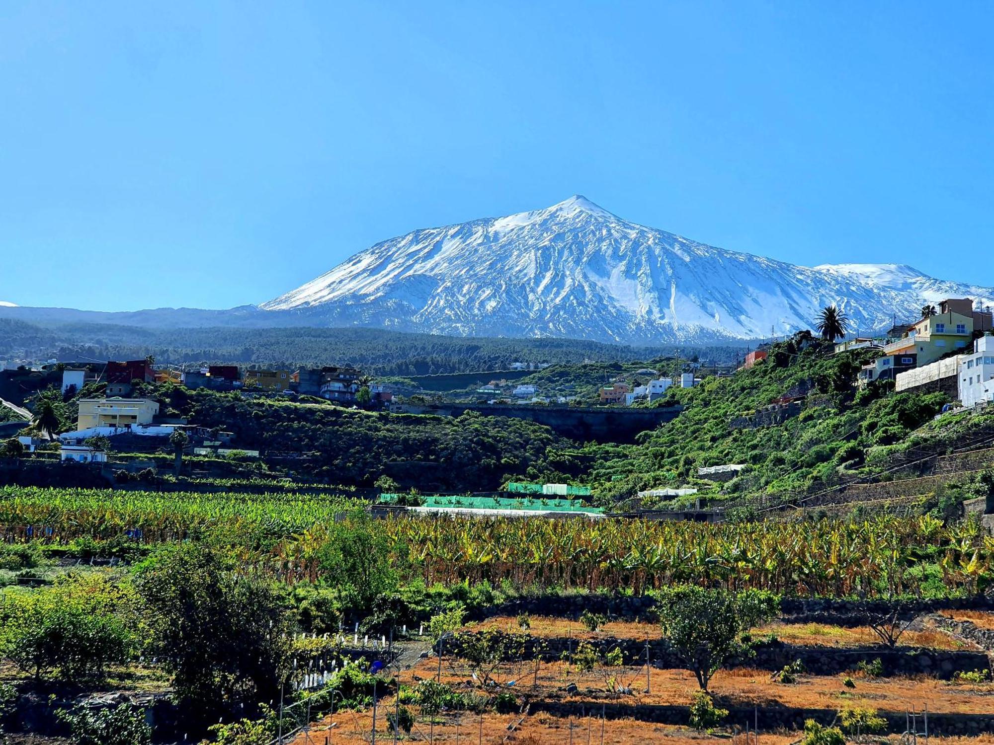 Cozy House Casa De Los Abuelos In Icod De Los Vinos By Hrtenerife Net Εξωτερικό φωτογραφία
